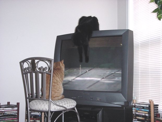 tvwatching.jpg